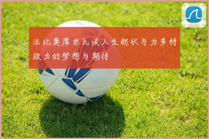 法比奥席尔瓦谈人生起伏与为多特效力的梦想与期待
