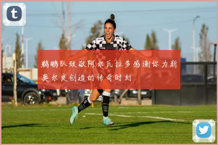 鹈鹕队致敬阿尔瓦拉多感谢你为新奥尔良创造的传奇时刻
