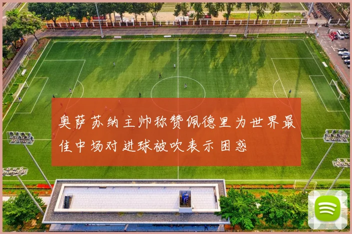 奥萨苏纳主帅称赞佩德里为世界最佳中场对进球被吹表示困惑